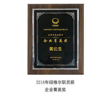 纽格尔行星减速机厂家荣誉证书